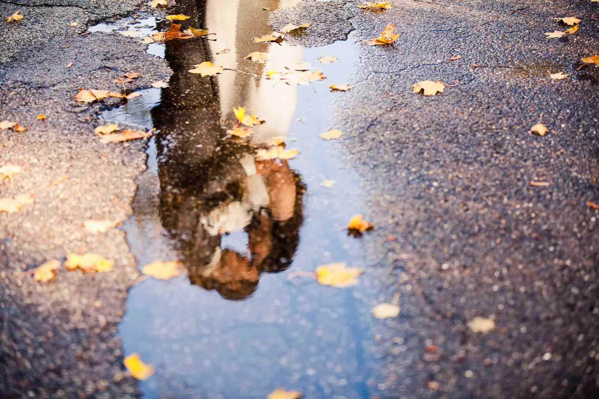 reflection of bride and groom snuggling together, photographed through a puddle of water strewn with fall leaves